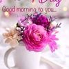 sweta.seetohul