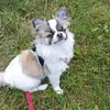 ro_giorry2