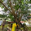 nilar.zaw040