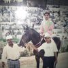 imran.ahmed7723
