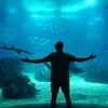 AquaristWhite