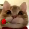talamahahahaa