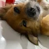 moi.doi.acc.tiktok