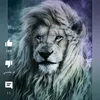 user10596195246260