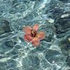 jojo.abdo615