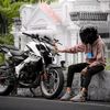 king.of.renu