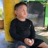 taufik.hidayat1100