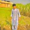 mashal.officialaccount