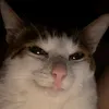 idkjge