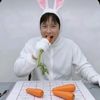 leebyunghun_rabbdis_001