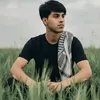 qw_yp7