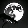 mezr_54