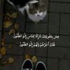 user88825945225824