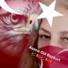papatya74668
