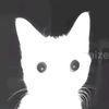 nala_lagi_main_incorails