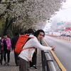 agusshomex