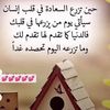 user5335681033317