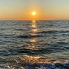 albalushia_2110