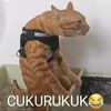 cihuyaja88