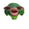 clasiv81