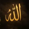 🌟Only Quran🌟