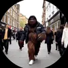 ifollowbackzxq