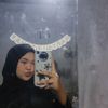 aqis2729