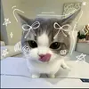 rememwmscbo