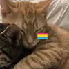 valentina_cutefantastic