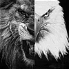_barh4m