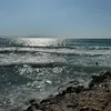 joe_h302