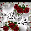 user5341787202473