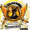 sagi_tarius292