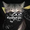 eagleeyeishere