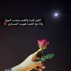 alreem8565