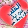 omar.mahmoud8200