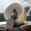 mbak.ton.toko