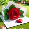 mark.123349
