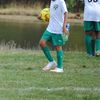 small_ag_17