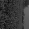 luka_2456