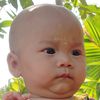 user6231790619461