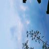 unisah.neng
