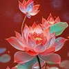 maytrang348