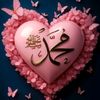 sharafuddin.jeylu