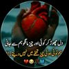 kashifshah2062