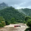 Việt Đức