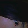 andy__espinoza.028