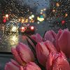 smyrh.bryk