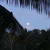 shane1237125
