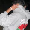 ndha_zf